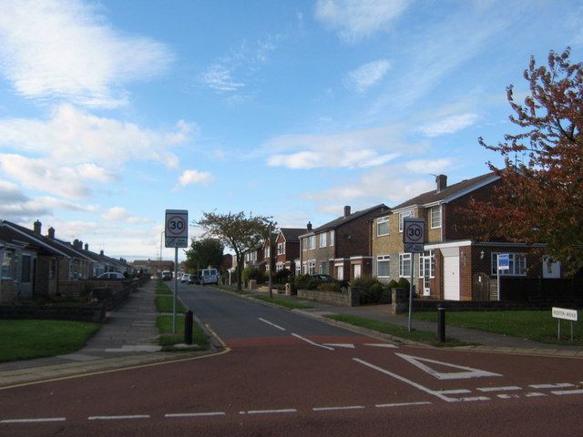 Houses and front gardens along Rudston Avenue, Billingham